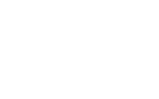 Logo Bouillon Boivin